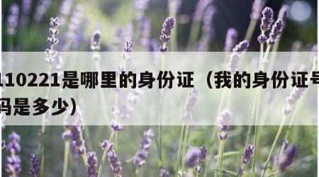 110221是哪里的身份证（我的身份证号码是多少）