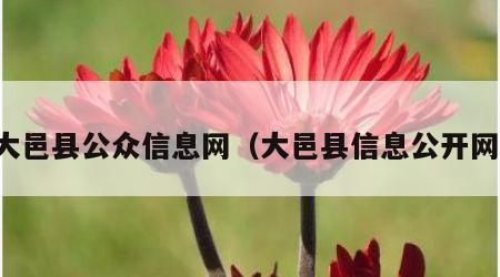 大邑县公众信息网（大邑县信息公开网）