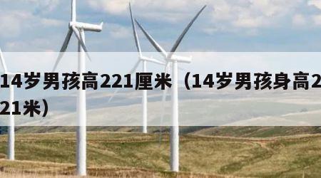 14岁男孩高221厘米（14岁男孩身高221米）