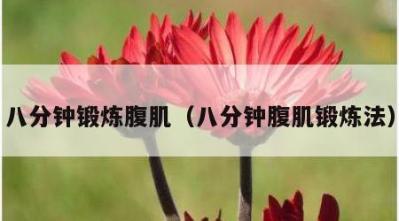 八分钟锻炼腹肌（八分钟腹肌锻炼法）
