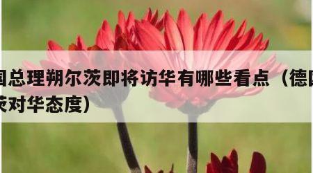 德国总理朔尔茨即将访华有哪些看点（德国朔尔茨对华态度）