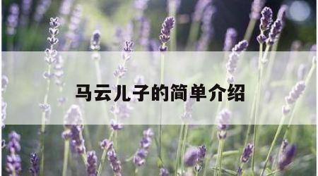 马云儿子的简单介绍