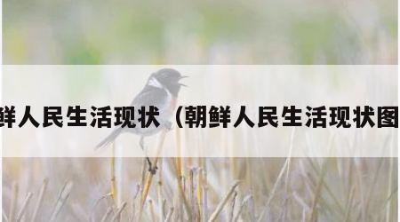 朝鲜人民生活现状（朝鲜人民生活现状图片）