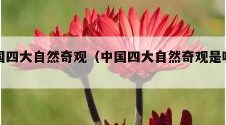 中国四大自然奇观（中国四大自然奇观是哪四个）
