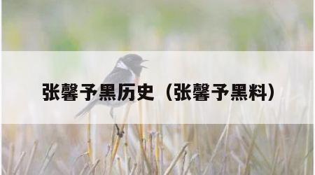 张馨予黑历史（张馨予黑料）