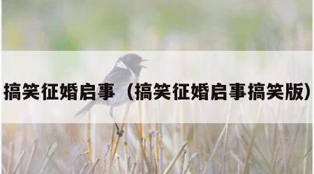 搞笑征婚启事（搞笑征婚启事搞笑版）