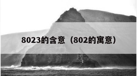 8023的含意（802的寓意）