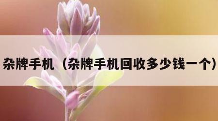 杂牌手机（杂牌手机回收多少钱一个）