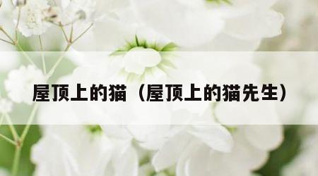 屋顶上的猫（屋顶上的猫先生）