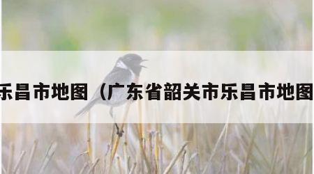乐昌市地图（广东省韶关市乐昌市地图）