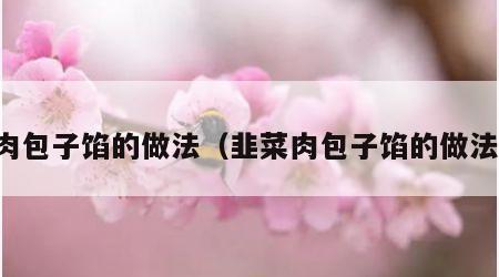 肉包子馅的做法（韭菜肉包子馅的做法）