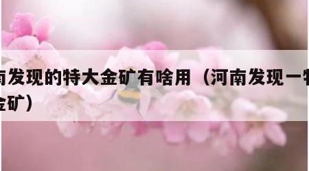 河南发现的特大金矿有啥用（河南发现一特大型金矿）