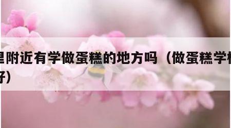 这里附近有学做蛋糕的地方吗（做蛋糕学校哪里好）
