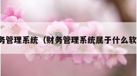 财务管理系统（财务管理系统属于什么软件）