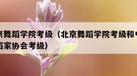 北京舞蹈学院考级（北京舞蹈学院考级和中国舞蹈家协会考级）