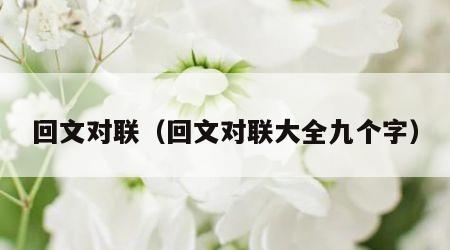回文对联（回文对联大全九个字）