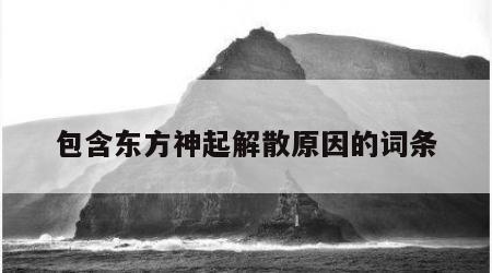包含东方神起解散原因的词条