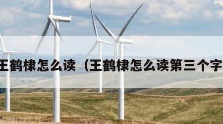 王鹤棣怎么读（王鹤棣怎么读第三个字）