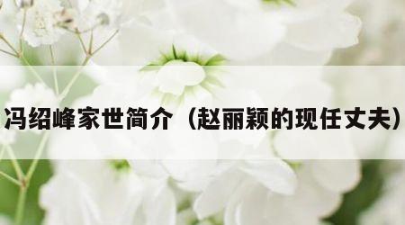 冯绍峰家世简介（赵丽颖的现任丈夫）