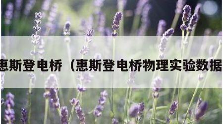 惠斯登电桥（惠斯登电桥物理实验数据）
