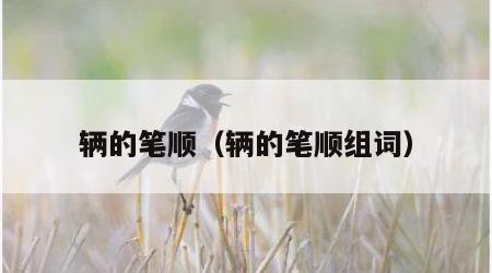 辆的笔顺（辆的笔顺组词）