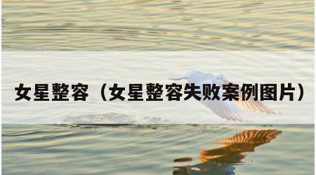 女星整容（女星整容失败案例图片）