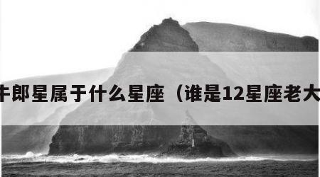 牛郎星属于什么星座（谁是12星座老大）