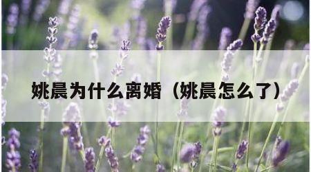 姚晨为什么离婚（姚晨怎么了）