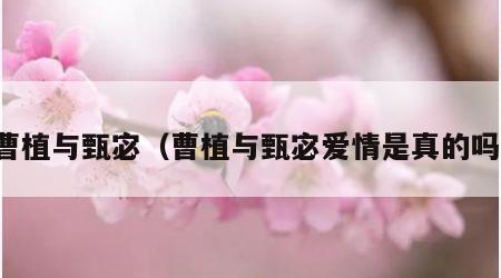 曹植与甄宓（曹植与甄宓爱情是真的吗）