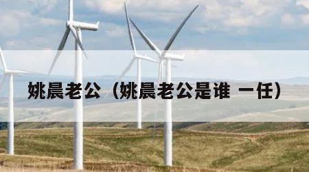 姚晨老公（姚晨老公是谁 一任）