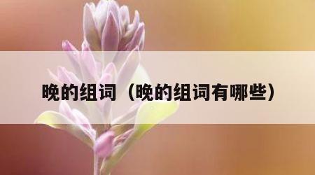 晚的组词（晚的组词有哪些）