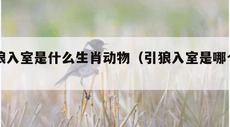 引狼入室是什么生肖动物（引狼入室是哪个生肖）
