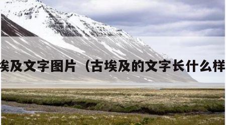 古埃及文字图片（古埃及的文字长什么样子）