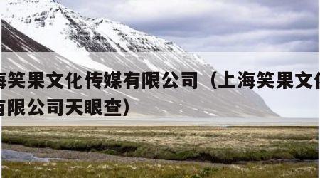 上海笑果文化传媒有限公司（上海笑果文化传媒有限公司天眼查）