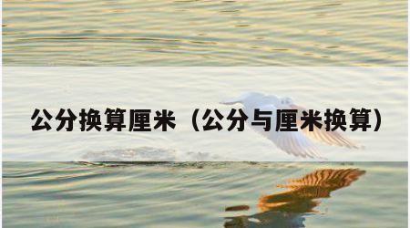 公分换算厘米（公分与厘米换算）