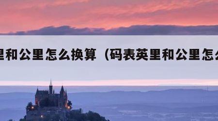 英里和公里怎么换算（码表英里和公里怎么换算）
