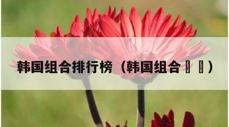 韩国组合排行榜（韩国组合바바）