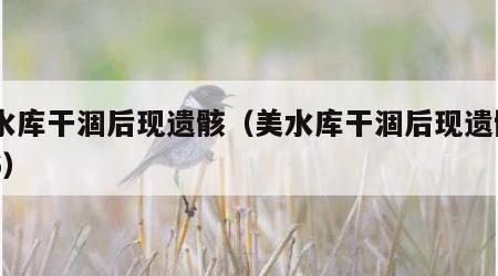 美水库干涸后现遗骸（美水库干涸后现遗骸cjk6）