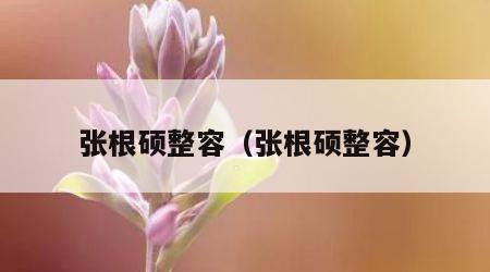 张根硕整容（张根硕整容）