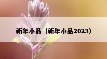新年小品（新年小品2023）