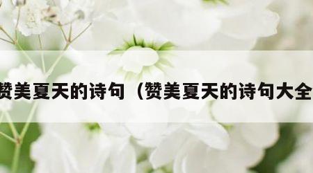 赞美夏天的诗句（赞美夏天的诗句大全）