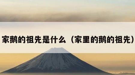 家鹅的祖先是什么（家里的鹅的祖先）