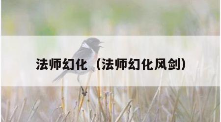 法师幻化（法师幻化风剑）