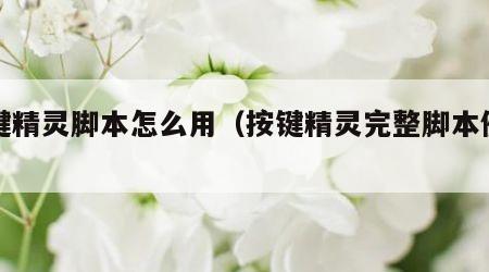按键精灵脚本怎么用（按键精灵完整脚本例子）