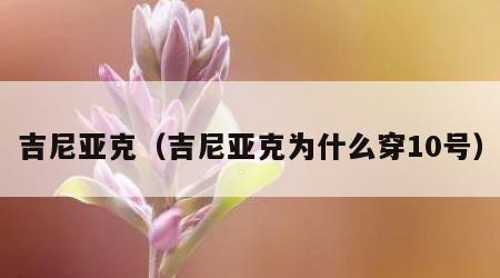 吉尼亚克（吉尼亚克为什么穿10号）