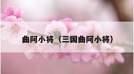曲阿小将（三国曲阿小将）