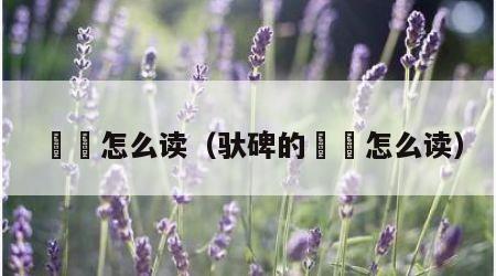 赑屃怎么读（驮碑的赑屃怎么读）