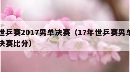 世乒赛2017男单决赛（17年世乒赛男单决赛比分）