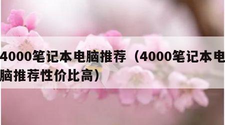4000笔记本电脑推荐（4000笔记本电脑推荐性价比高）