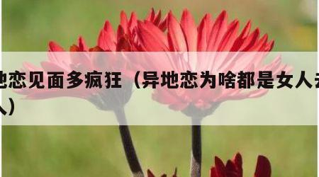 异地恋见面多疯狂（异地恋为啥都是女人去看男人）